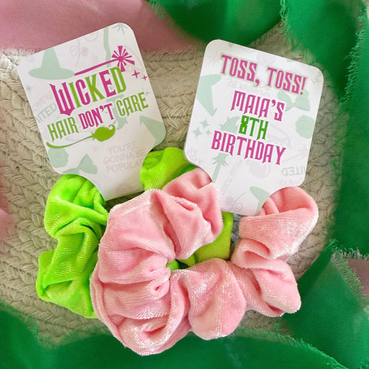 Wicked Scrunchie Party Favors - Wicked Party - Favors - Pink and Green - Elphaba - Glinda - Wicked Birthday - Wicked Goodie Bags - Witch
