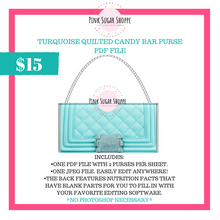 Load image into Gallery viewer, PSS - TURQUOISE QUILTED - PURSE FILE
